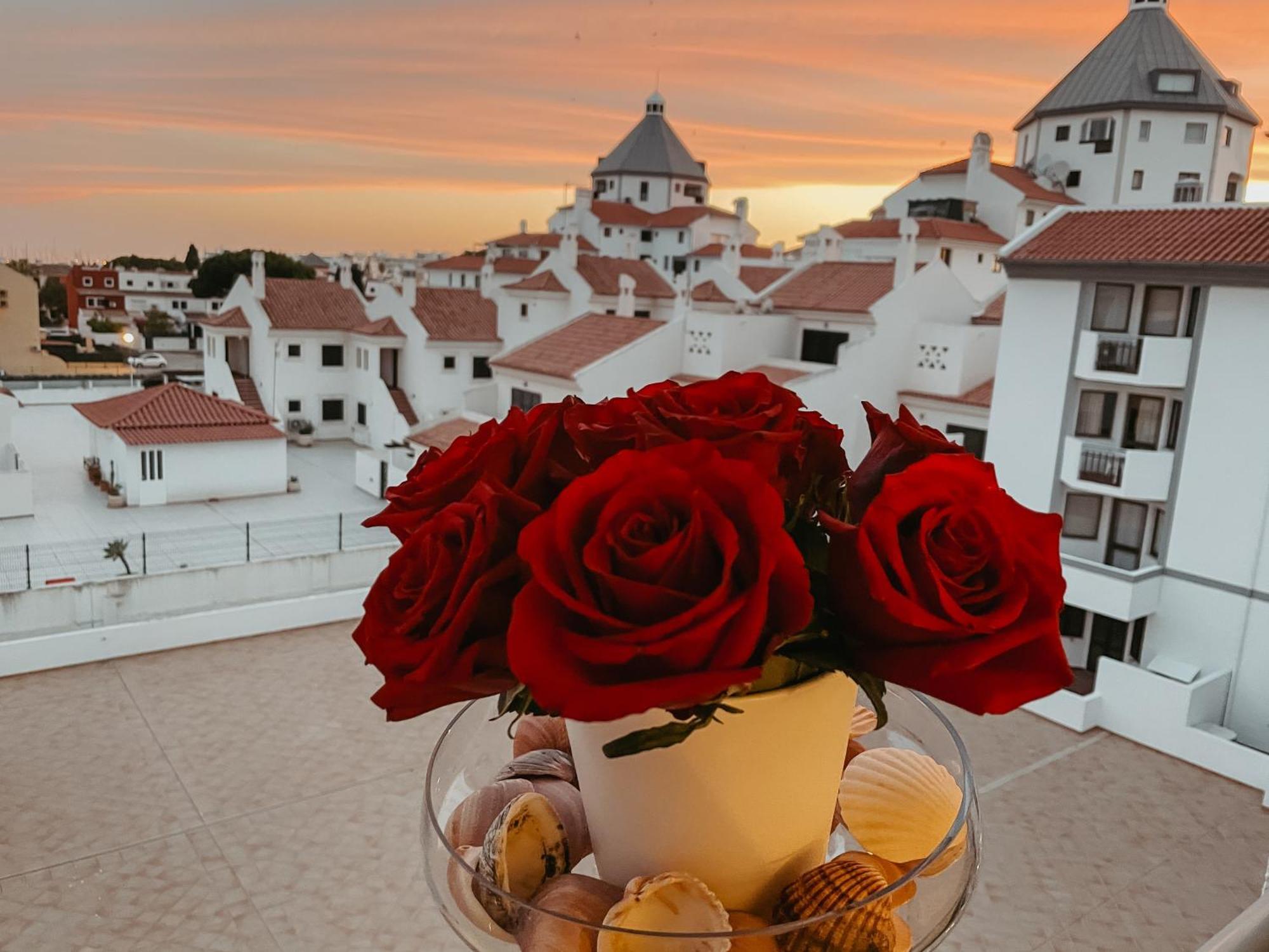 Cozy Apartment- Algardia Apartamento